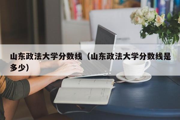 山东政法大学分数线（山东政法大学分数线是多少）