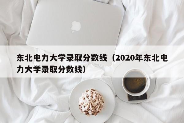 东北电力大学录取分数线（2020年东北电力大学录取分数线）