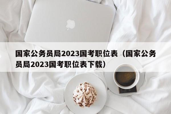 国家公务员局2023国考职位表（国家公务员局2023国考职位表下载）