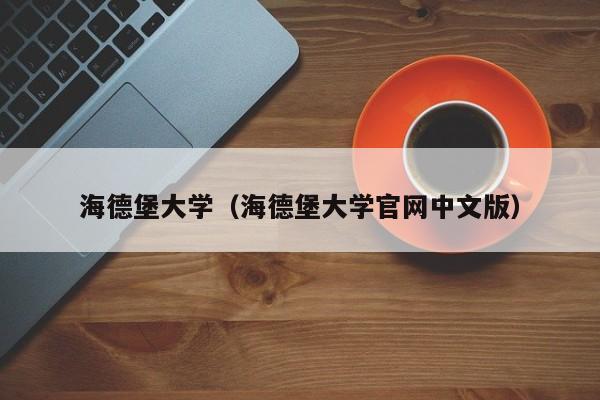 海德堡大学（海德堡大学官网中文版）