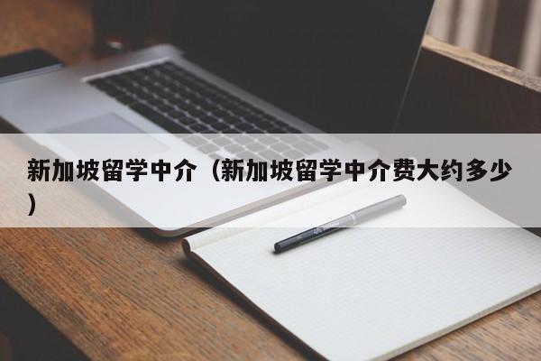 新加坡留学中介（新加坡留学中介费大约多少）