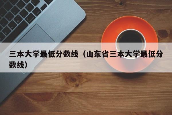 三本大学最低分数线（山东省三本大学最低分数线）