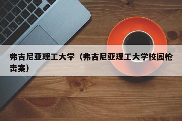 弗吉尼亚理工大学（弗吉尼亚理工大学校园枪击案）