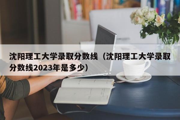 沈阳理工大学录取分数线（沈阳理工大学录取分数线2023年是多少）