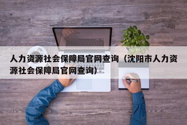 人力资源社会保障局官网查询（沈阳市人力资源社会保障局官网查询）