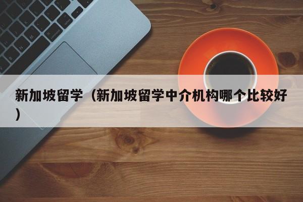 新加坡留学（新加坡留学中介机构哪个比较好）