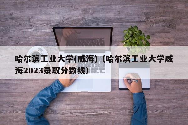 哈尔滨工业大学(威海)（哈尔滨工业大学威海2023录取分数线）