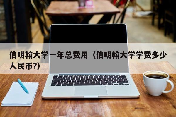 伯明翰大学一年总费用（伯明翰大学学费多少人民币?）