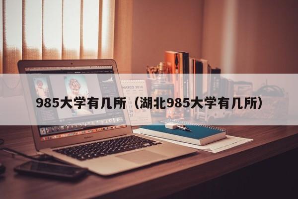 985大学有几所（湖北985大学有几所）