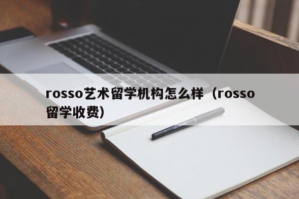 rosso艺术留学机构怎么样（rosso留学收费）