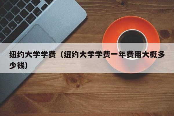 纽约大学学费（纽约大学学费一年费用大概多少钱）