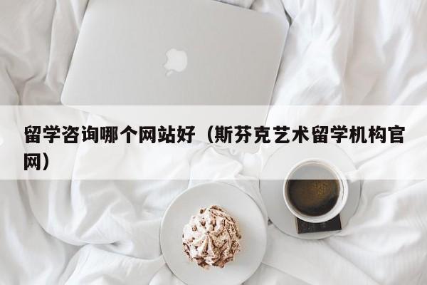 留学咨询哪个网站好（斯芬克艺术留学机构官网）