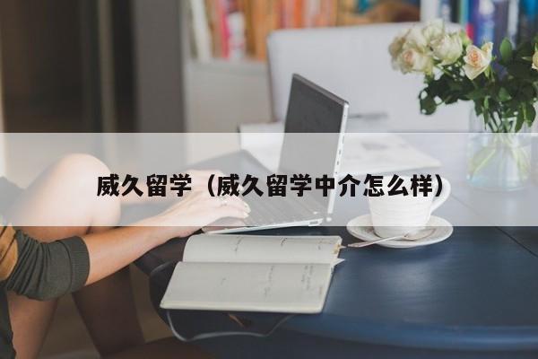 威久留学（威久留学中介怎么样）