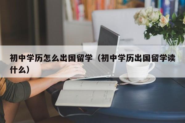 初中学历怎么出国留学（初中学历出国留学读什么）