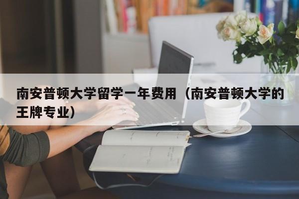 南安普顿大学留学一年费用（南安普顿大学的王牌专业）