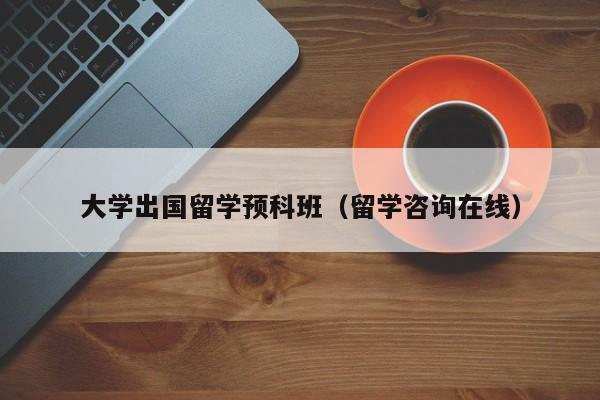 大学出国留学预科班（留学咨询在线）