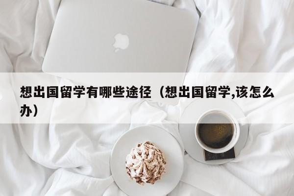 想出国留学有哪些途径（想出国留学,该怎么办）