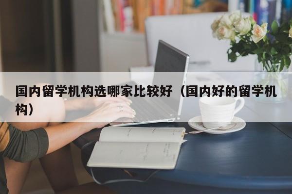 国内留学机构选哪家比较好（国内好的留学机构）