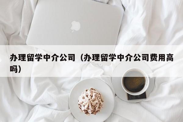 办理留学中介公司（办理留学中介公司费用高吗）