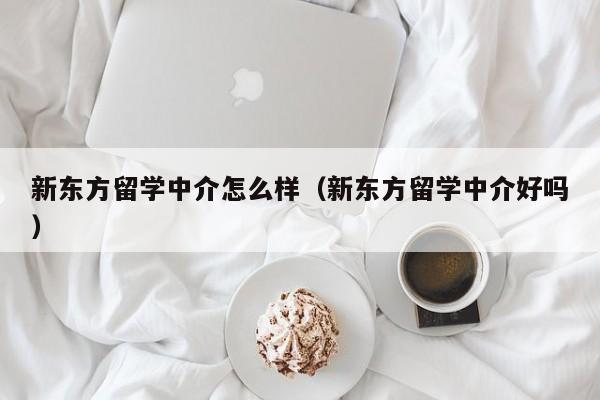 新东方留学中介怎么样（新东方留学中介好吗）