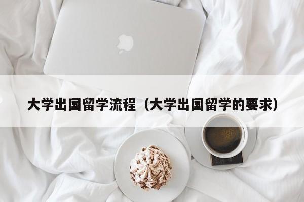 大学出国留学流程（大学出国留学的要求）