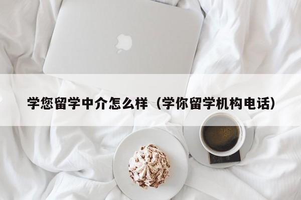 学您留学中介怎么样（学你留学机构电话）