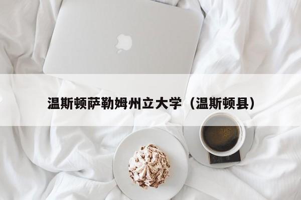 温斯顿萨勒姆州立大学（温斯顿县）