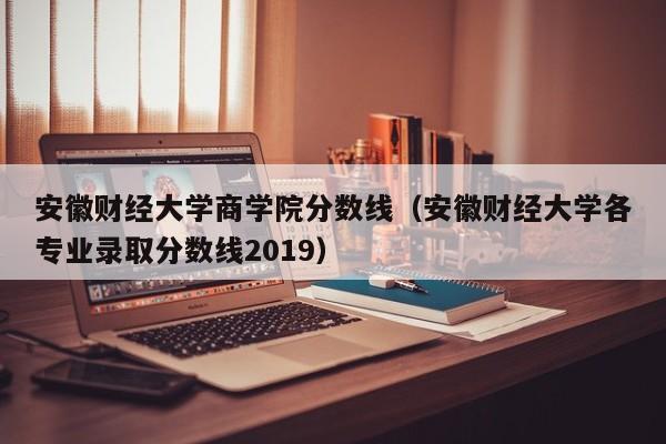 安徽财经大学商学院分数线（安徽财经大学各专业录取分数线2019）