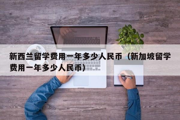 新西兰留学费用一年多少人民币（新加坡留学费用一年多少人民币）